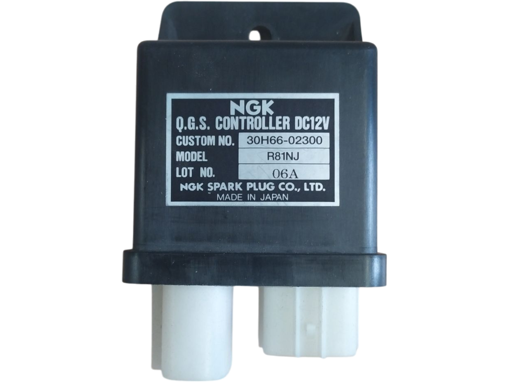 Glühzeitsteuerung R81NJ 30H6602300