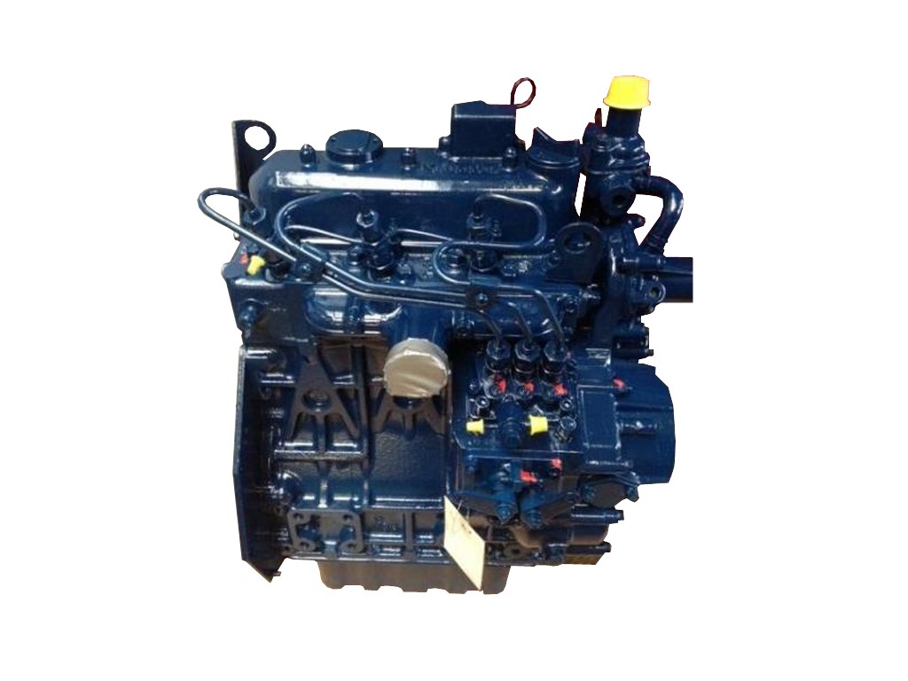 Kubota D1105  Motor im AT