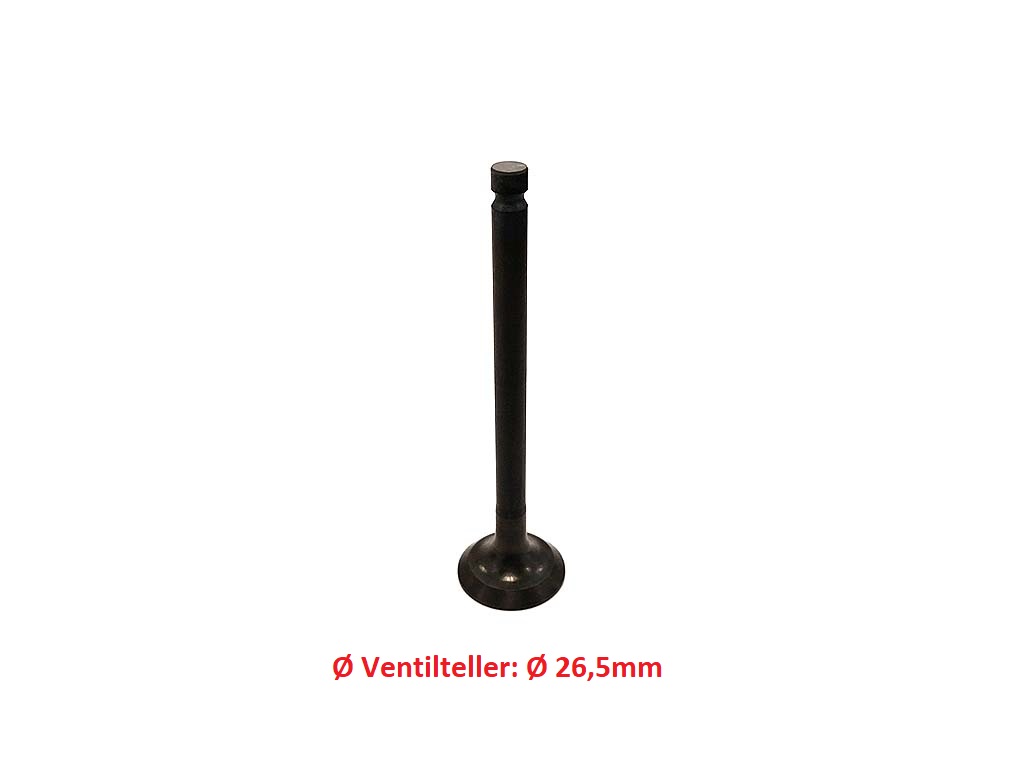 Einlaßventil für Mitsubishi L-Serie 30L0414600 -�berarbeitet